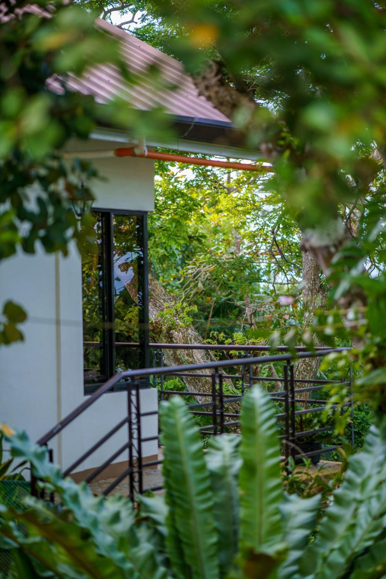 Oceanside 2 Bedroom House, 100Mbps Wifi Panglao-stad Buitenkant foto