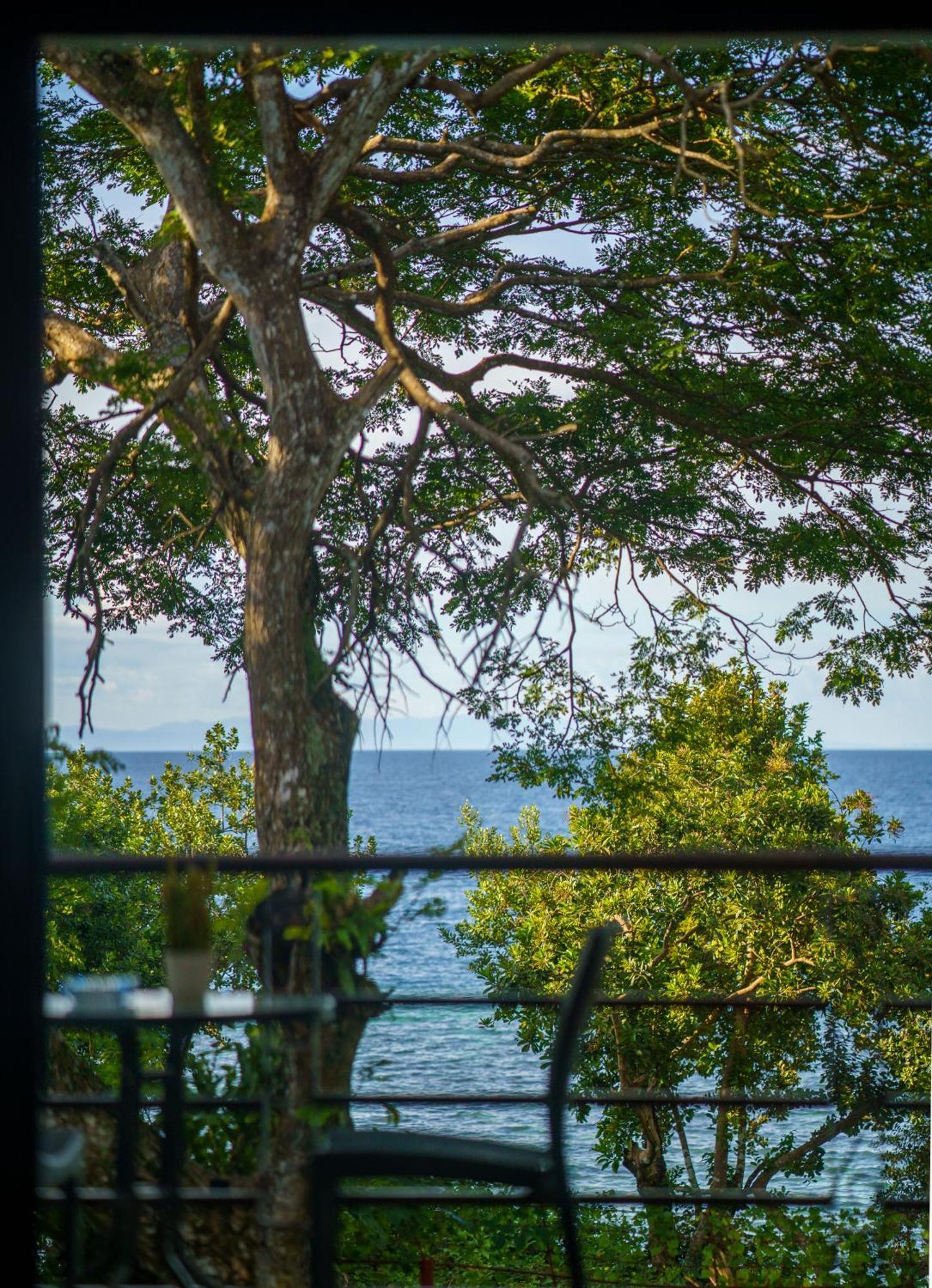 Oceanside 2 Bedroom House, 100Mbps Wifi Panglao-stad Buitenkant foto