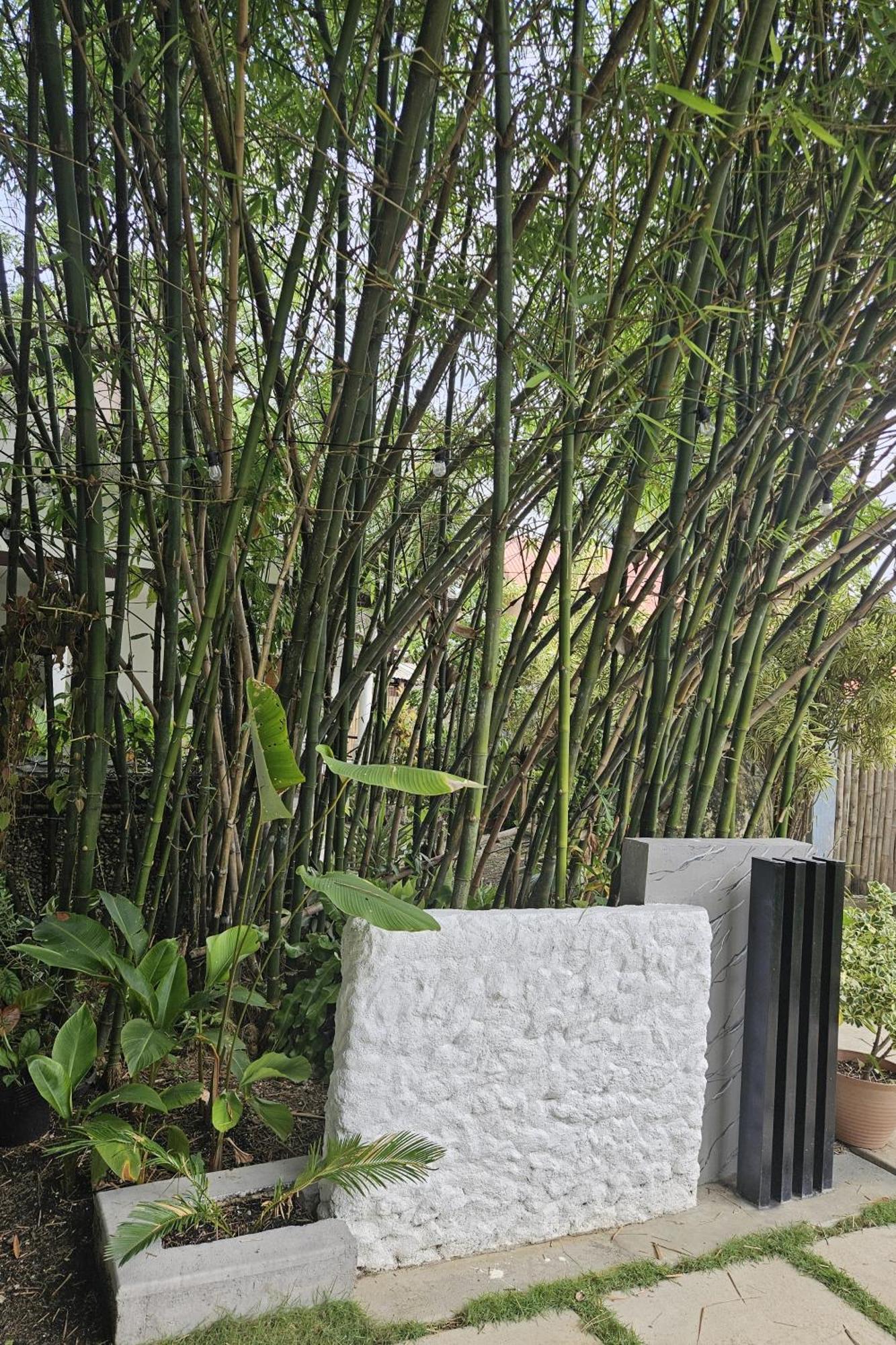 Oceanside 2 Bedroom House, 100Mbps Wifi Panglao-stad Buitenkant foto