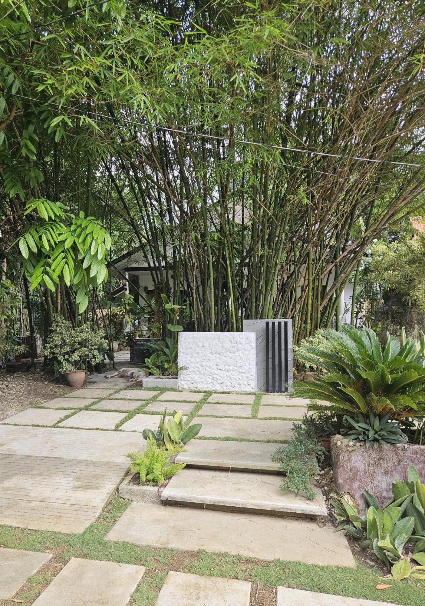 Oceanside 2 Bedroom House, 100Mbps Wifi Panglao-stad Buitenkant foto
